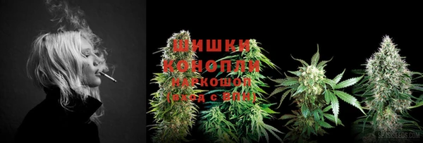 ПСИЛОЦИБИНОВЫЕ ГРИБЫ Белокуриха