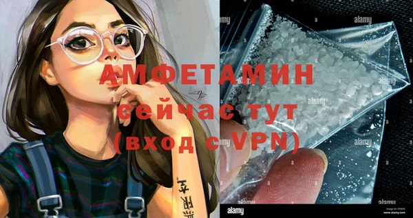 твердый Богданович