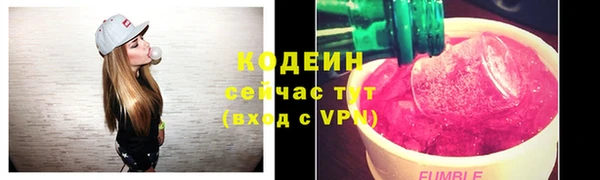 спиды Богородицк
