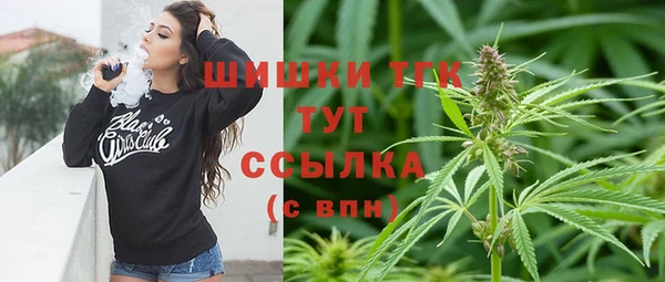 твердый Богданович
