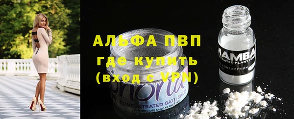 ПСИЛОЦИБИНОВЫЕ ГРИБЫ Белокуриха