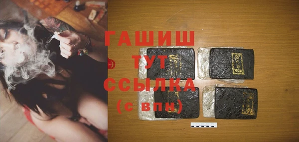 спиды Богородицк